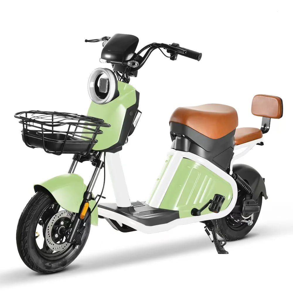 Foxscoo E-bike Model 2