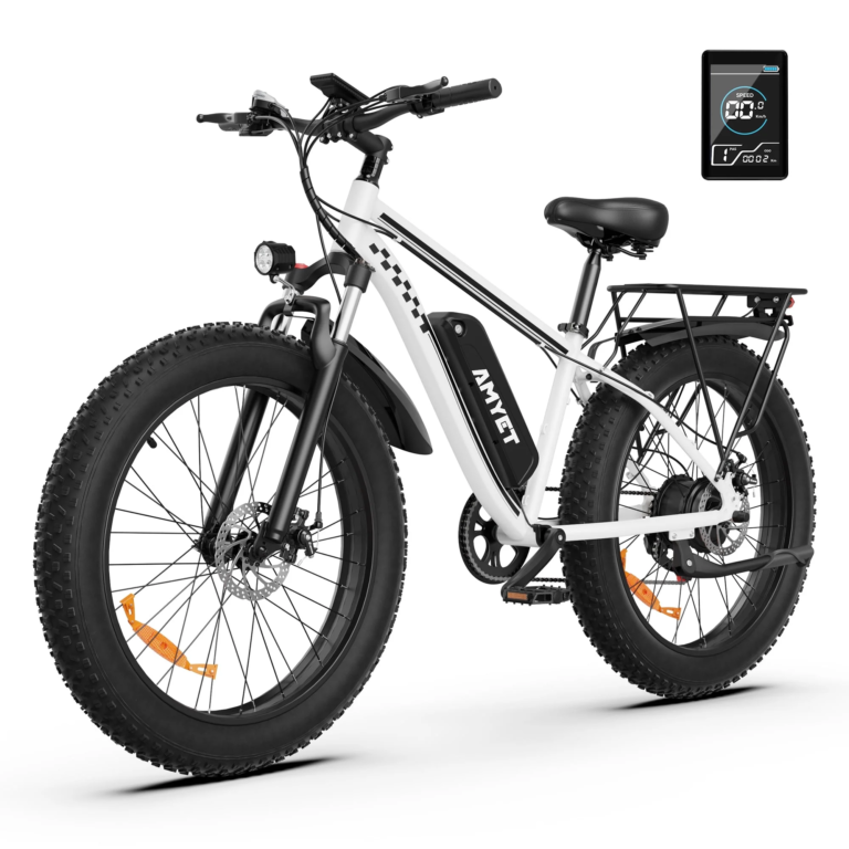 Electric bikes