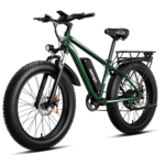 Electric bikes