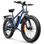 Electric bikes