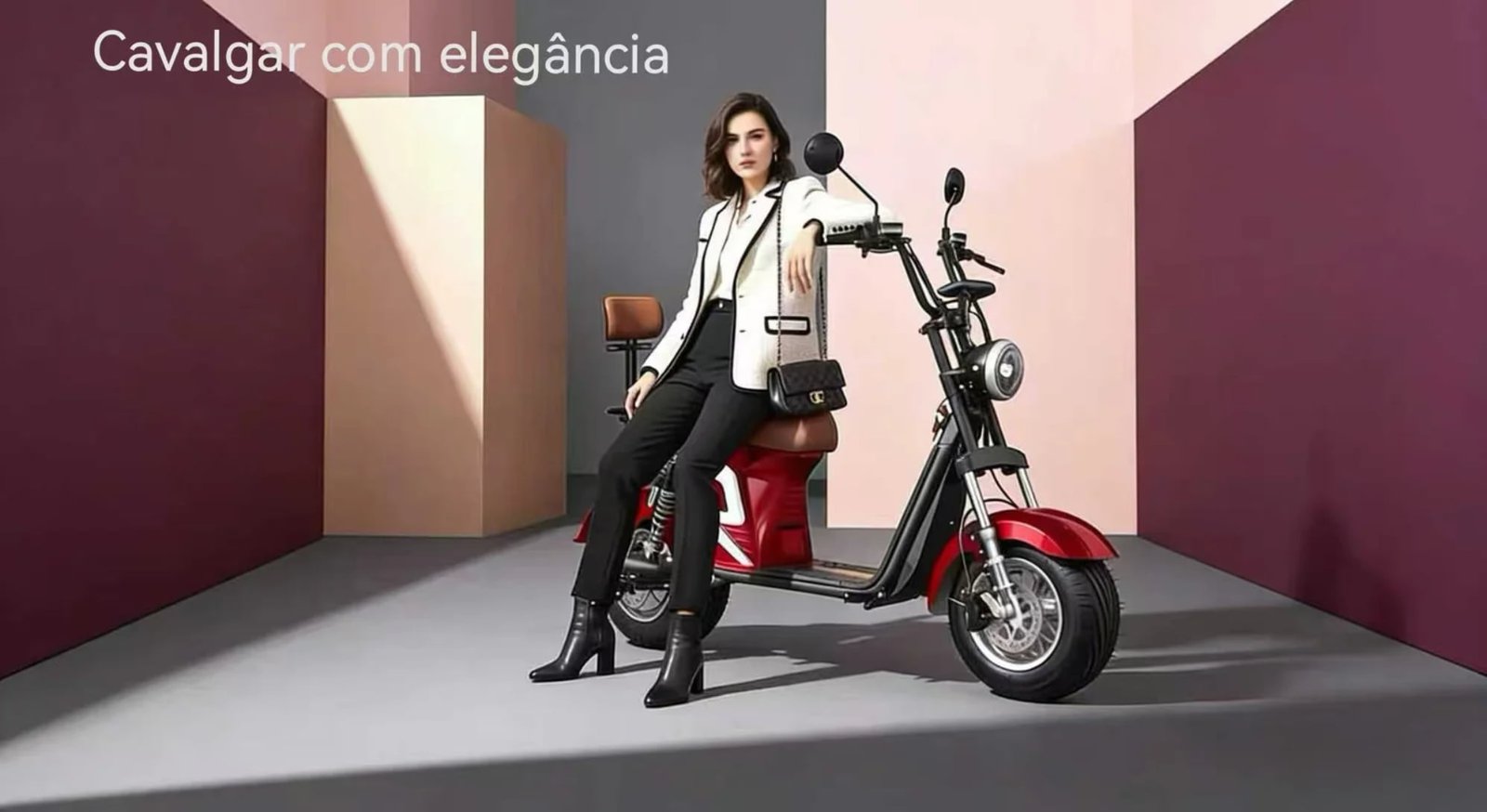 Foxscoo E-bike Hero
