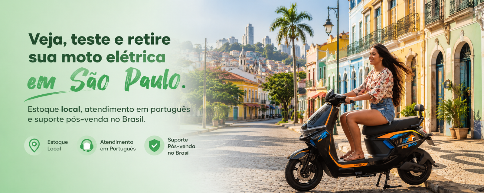 Foxscoo E-bike Hero