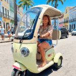 P2- Triciclo Elétrico 1000W Veículo de Mobilidade (Branco e Vinho)