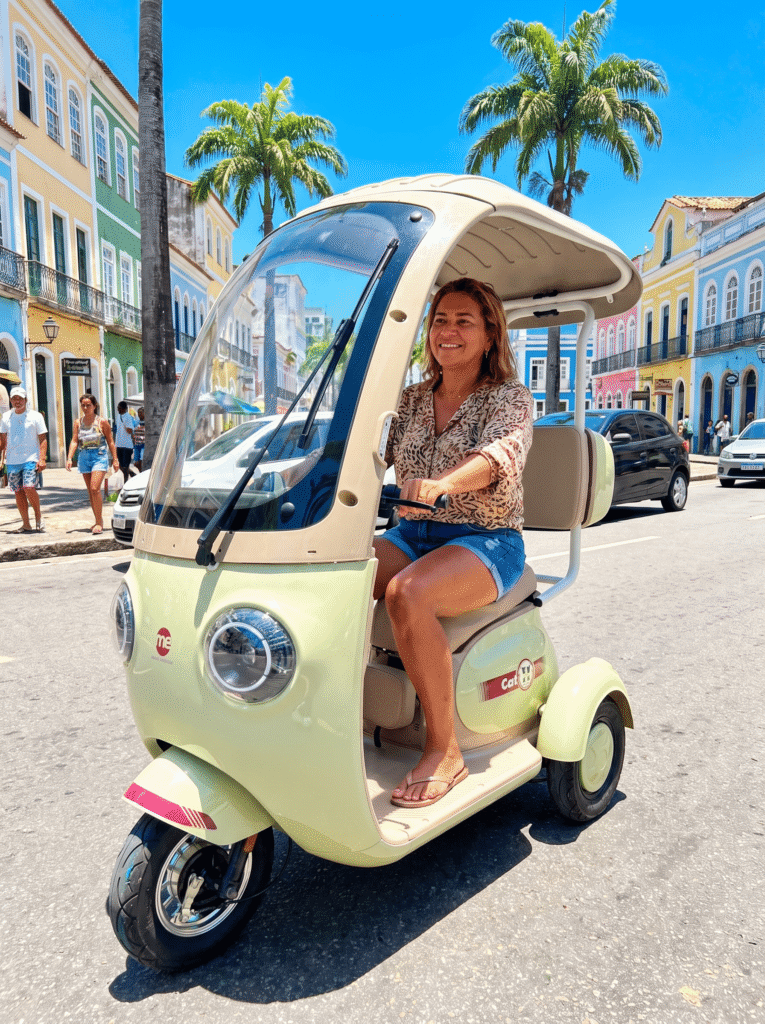 P2- Triciclo Elétrico 1000W Veículo de Mobilidade (Branco e Vinho)