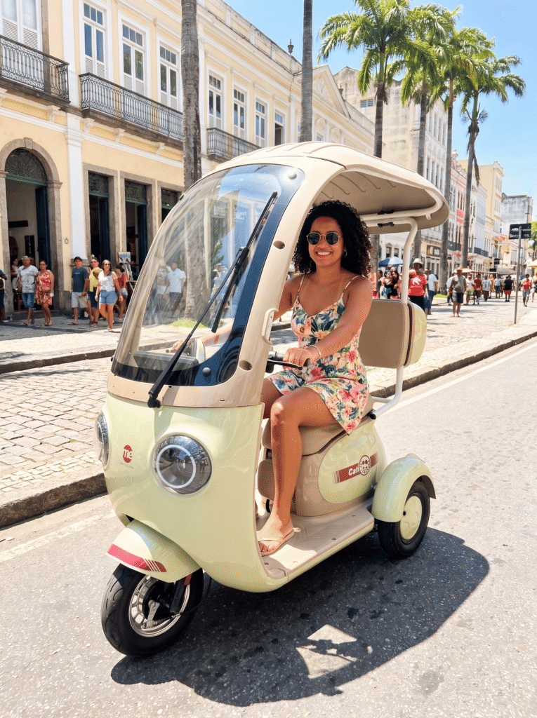P2- Triciclo Elétrico 1000W Veículo de Mobilidade (Branco e Vinho)
