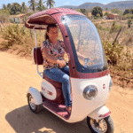 P2- Triciclo Elétrico 1000W Veículo de Mobilidade (Branco e Vinho)