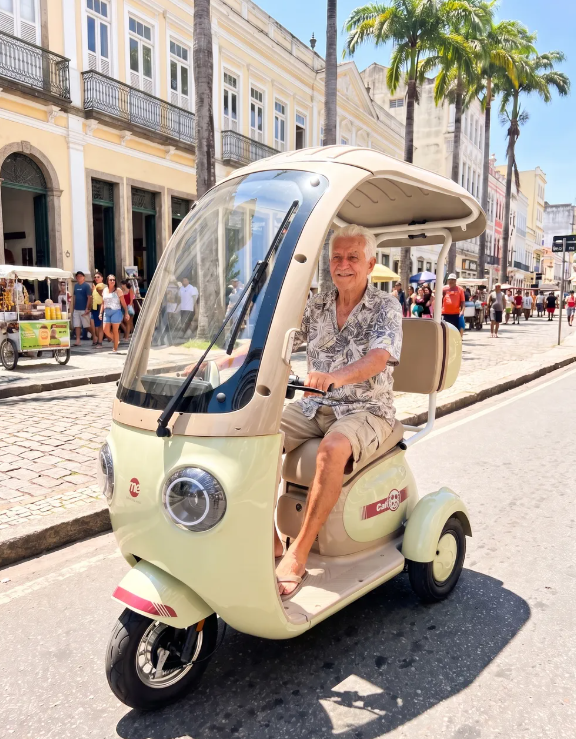P2- Triciclo Elétrico 1000W Veículo de Mobilidade (Branco e Vinho)