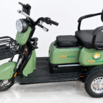 S3- Triciclo Elétrico 1000W Veículo de Mobilidade Familiar (Verde escuro)