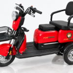 S3- Triciclo Elétrico 1000W Veículo de Mobilidade Familiar (Vermelho)