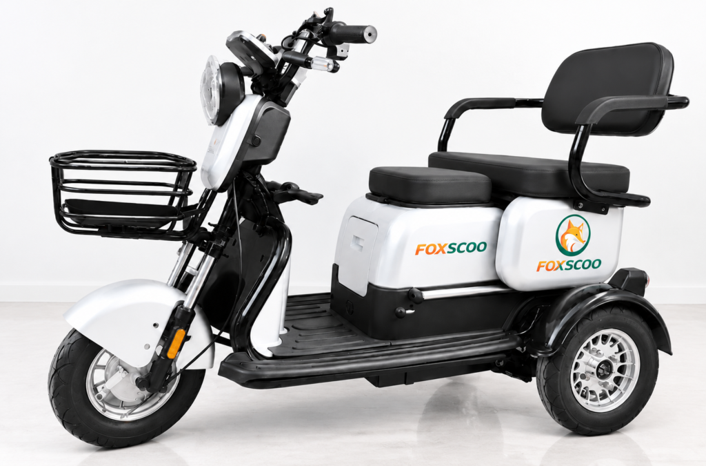 S3- Triciclo Elétrico 1000W Veículo de Mobilidade Familiar (Branco prata)