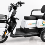 S3- Triciclo Elétrico 1000W Veículo de Mobilidade Familiar (Branco prata)