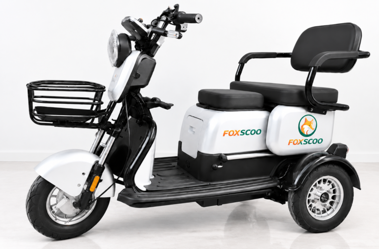 S3- Triciclo Elétrico 1000W Veículo de Mobilidade Familiar (Branco prata)