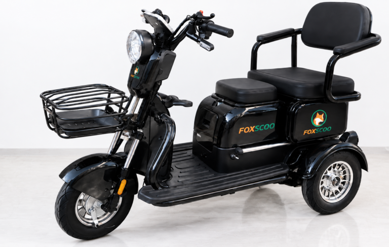 S3- Triciclo Elétrico 1000W Veículo de Mobilidade Familiar (Preto)