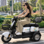 S3- Triciclo Elétrico 1000W Veículo de Mobilidade Familiar (Branco prata)