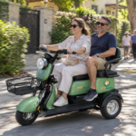 S3- Triciclo Elétrico 1000W Veículo de Mobilidade Familiar (Branco prata)